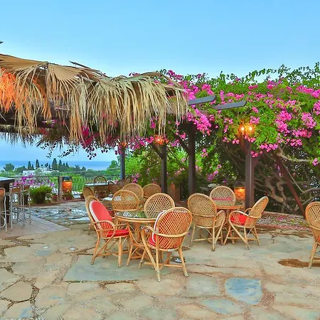 Sunny Garden Nilufer Bodrum