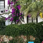 Sunny Garden Nilufer בודרום