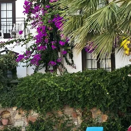 Sunny Garden Nilufer Bodrum