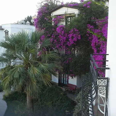 Sunny Garden Nilufer Hotell